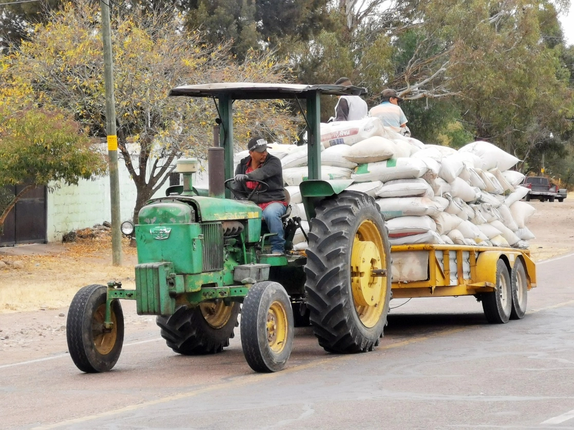 Un campesino transporta en su  tractor decenas de costales que contienen  frijol pinto San Luis. Foto Alfredo Valadez