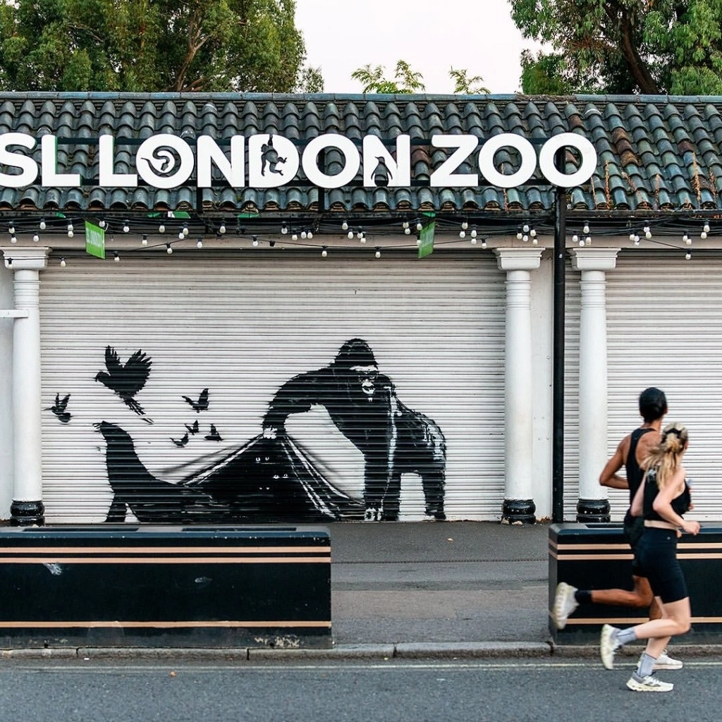 Fue la última obra del artista con temática animal que apareció durante nueve días consecutivos en Londres. Foto Instagram @banksy 