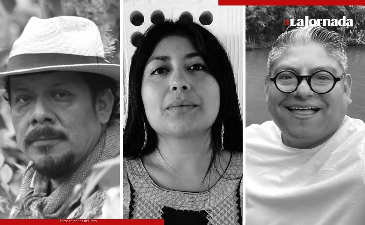 Luis Hernández Navarro